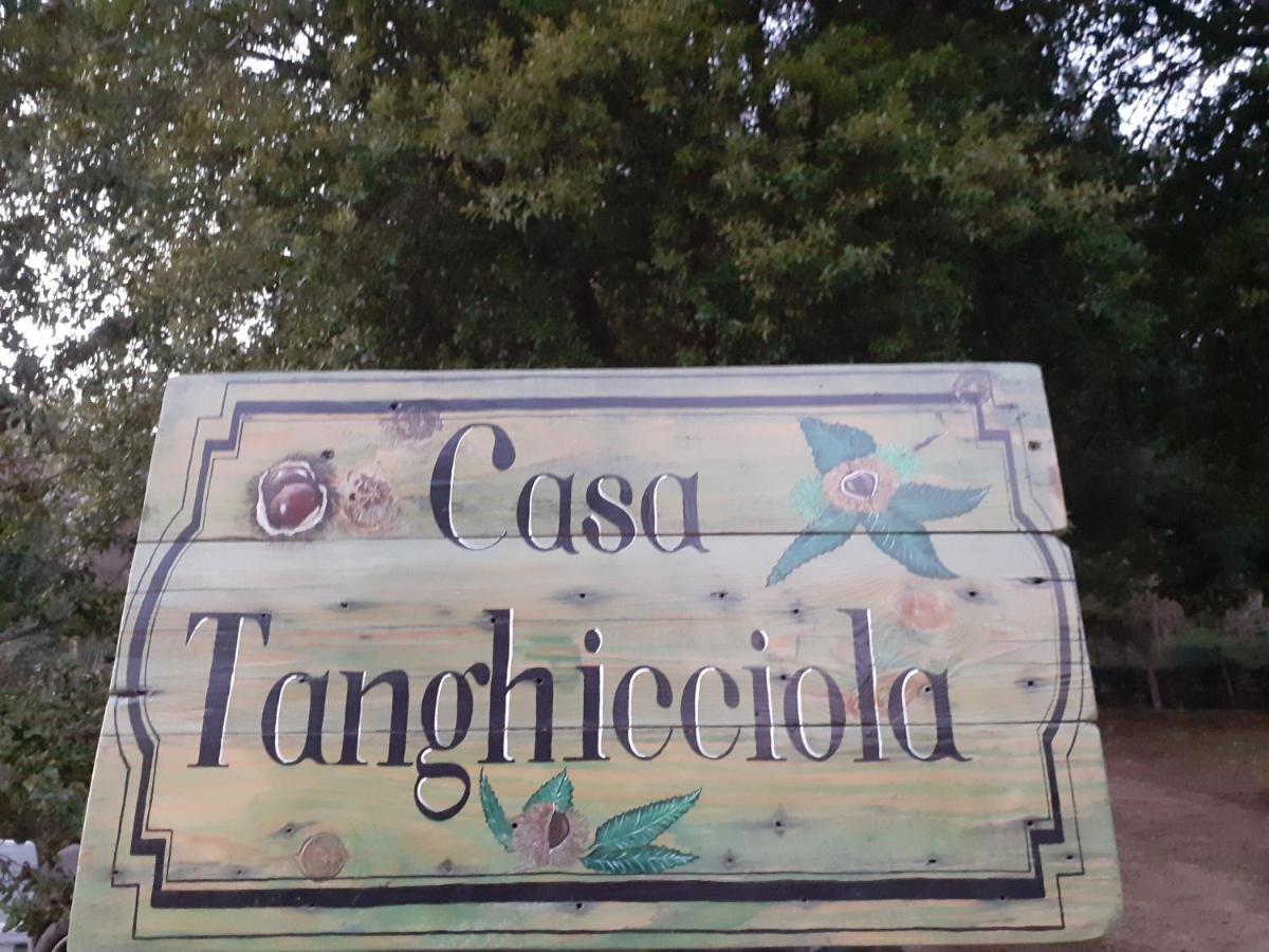 Casa Tanghicciola Leilighet Levie Eksteriør bilde